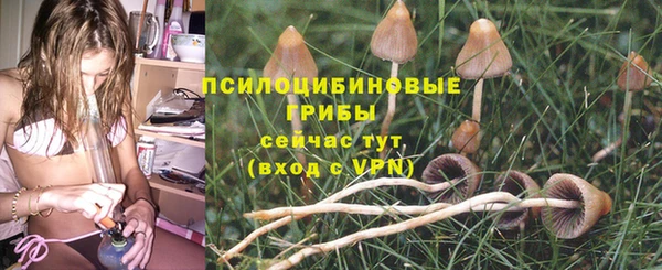 соль ск Алзамай
