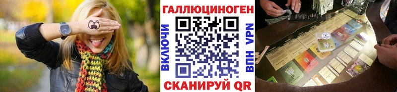 Галлюциногенные грибы Psilocybe  Невинномысск 